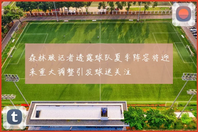 森林狼记者透露球队夏季阵容将迎来重大调整引发球迷关注